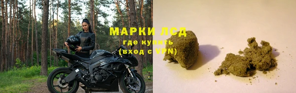 стафф Магадан