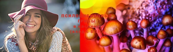 стафф Магадан