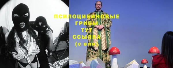 сатива Майский