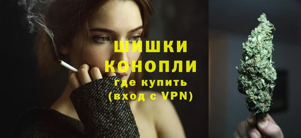 сатива Майский