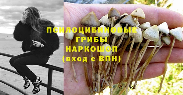 соль курить ск Магас